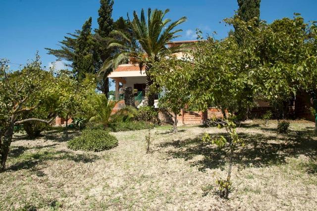 Casa Vacanze Palma ريالمونتي المظهر الخارجي الصورة